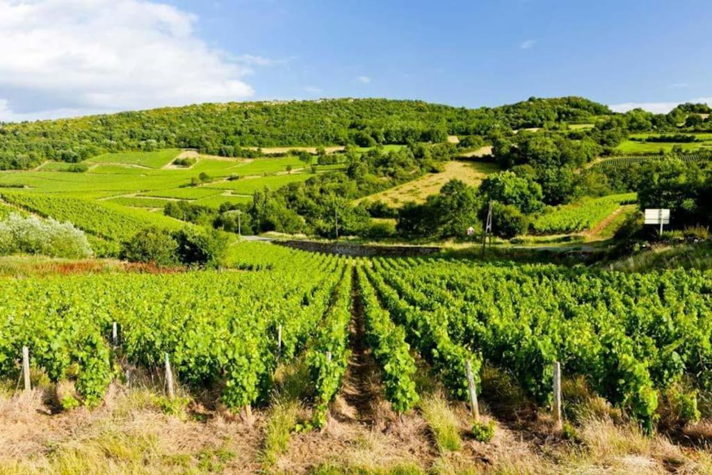 Le Chardonnay - Locationtournus Leilighet Eksteriør bilde